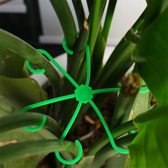 8 supports pour plantes