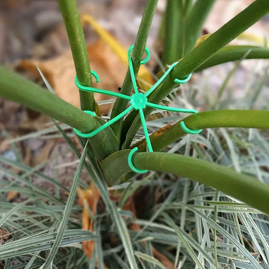 8 supports pour plantes
