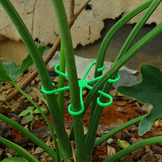 8 supports pour plantes