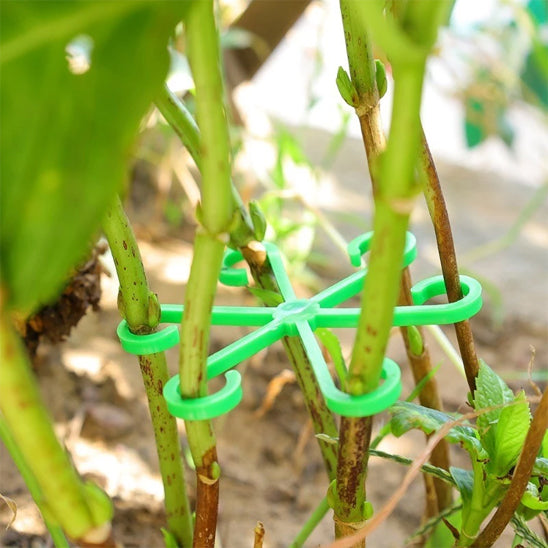8 supports pour plantes